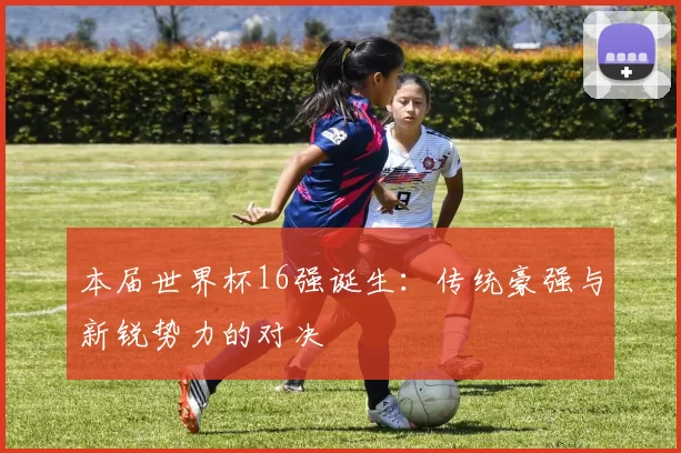 本届世界杯16强诞生：传统豪强与新锐势力的对决