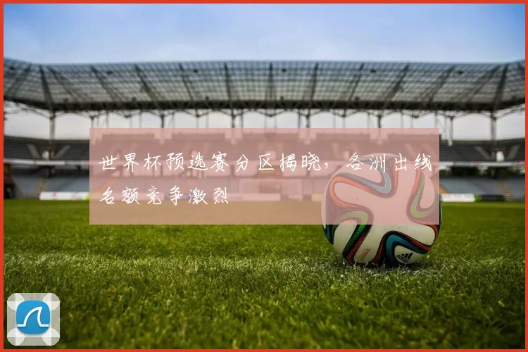 世界杯预选赛分区揭晓,各洲出线名额竞争激烈