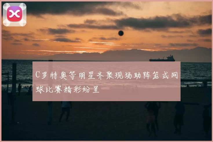 C罗特奥等明星齐聚现场助阵笼式网球比赛精彩纷呈
