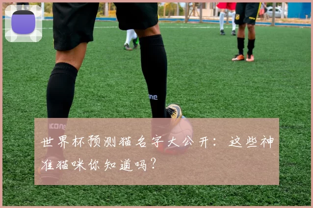 世界杯预测猫名字大公开：这些神准猫咪你知道吗？