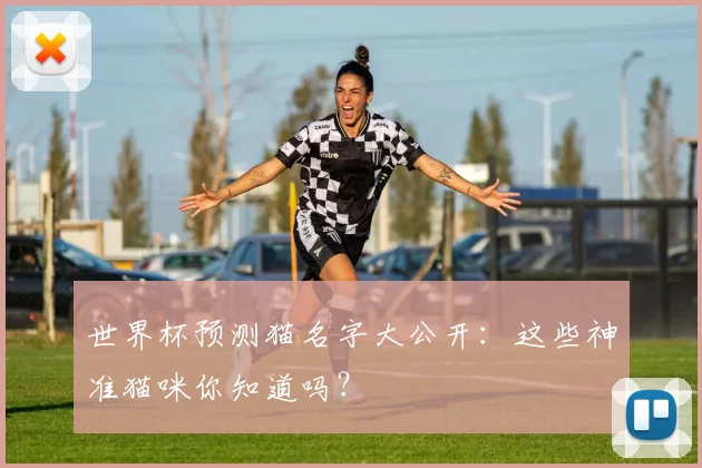 世界杯预测猫名字大公开：这些神准猫咪你知道吗？