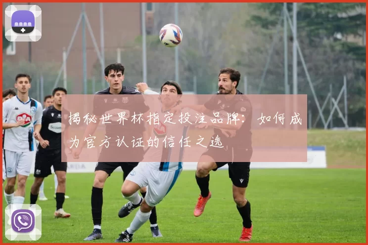 揭秘世界杯指定投注品牌：如何成为官方认证的信任之选